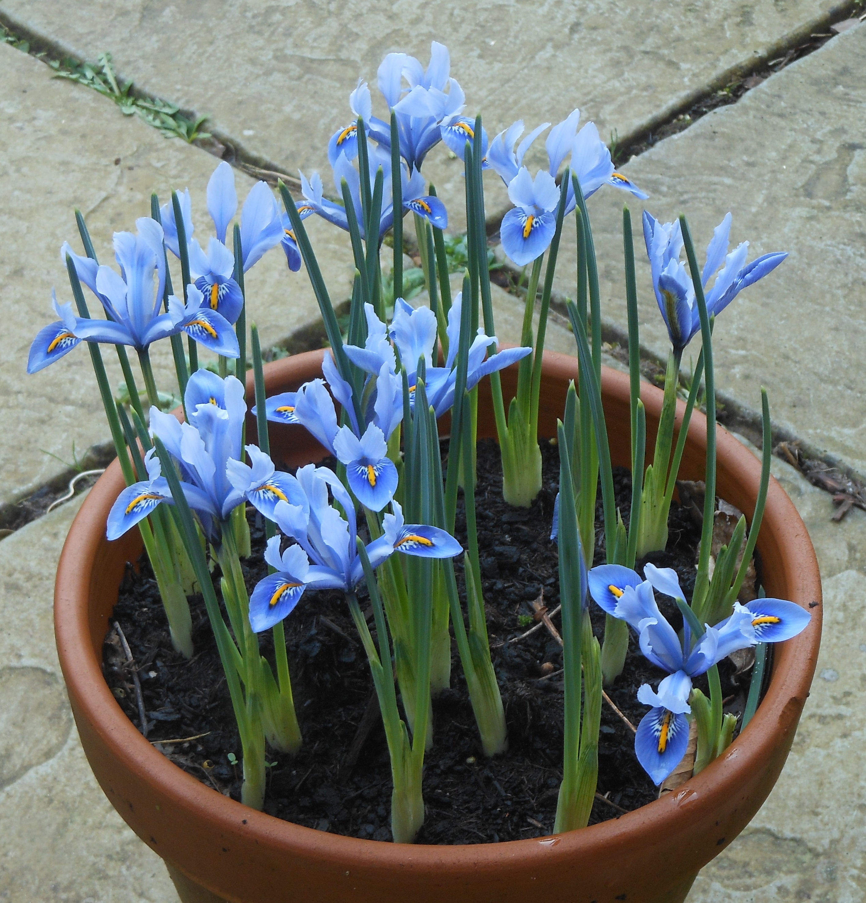 Blog/April 20 Blog pic 1